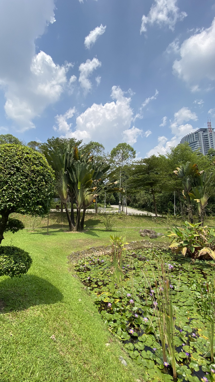 植被, 植物园, 植物群, 花园, 灌木 壁纸 750x1334 允许