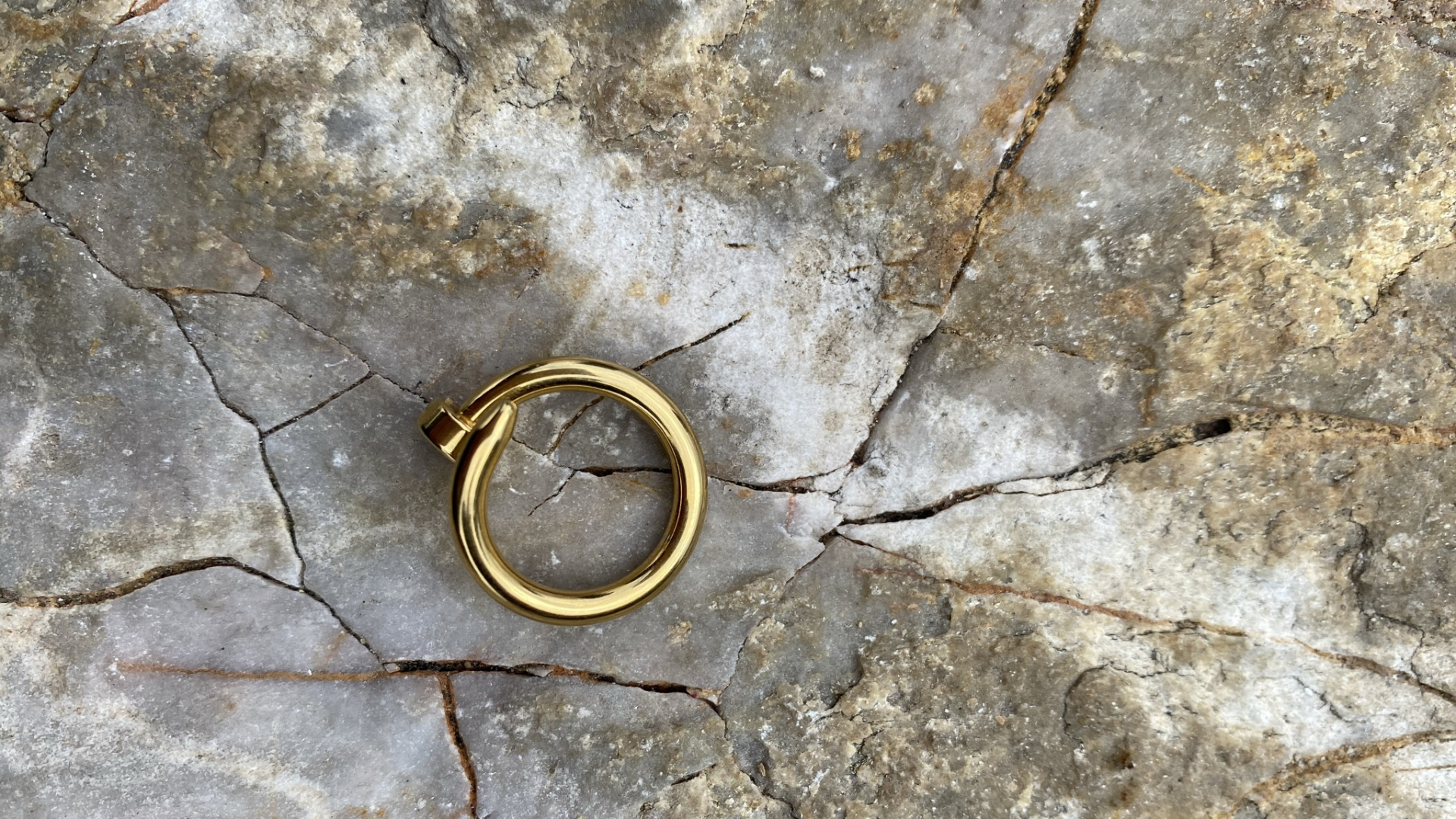 科学, 木, 沥青, 圆圈, 混凝土 壁纸 1920x1080 允许