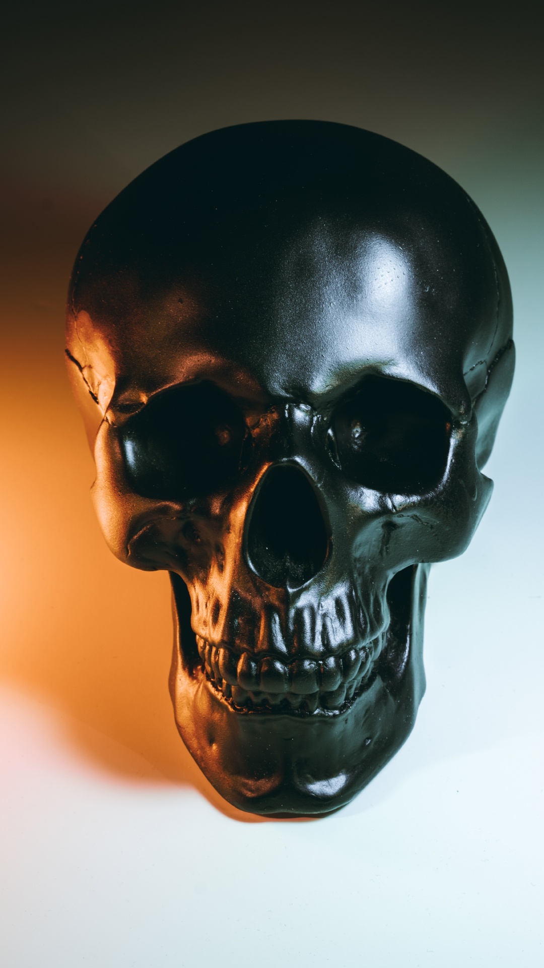 Skeleton, Black Skull, Anatomy, Bone, Jaw. Wallpaper in 1080x1920 Resolution