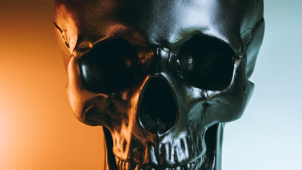 Skeleton, Black Skull, Anatomy, Bone, Jaw. Wallpaper in 1280x720 Resolution