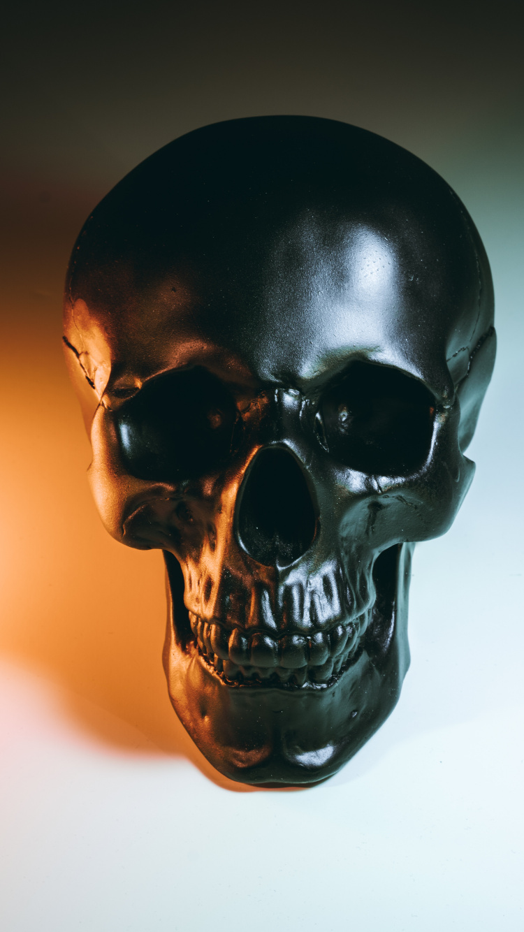 Skeleton, Black Skull, Anatomy, Bone, Jaw. Wallpaper in 750x1334 Resolution
