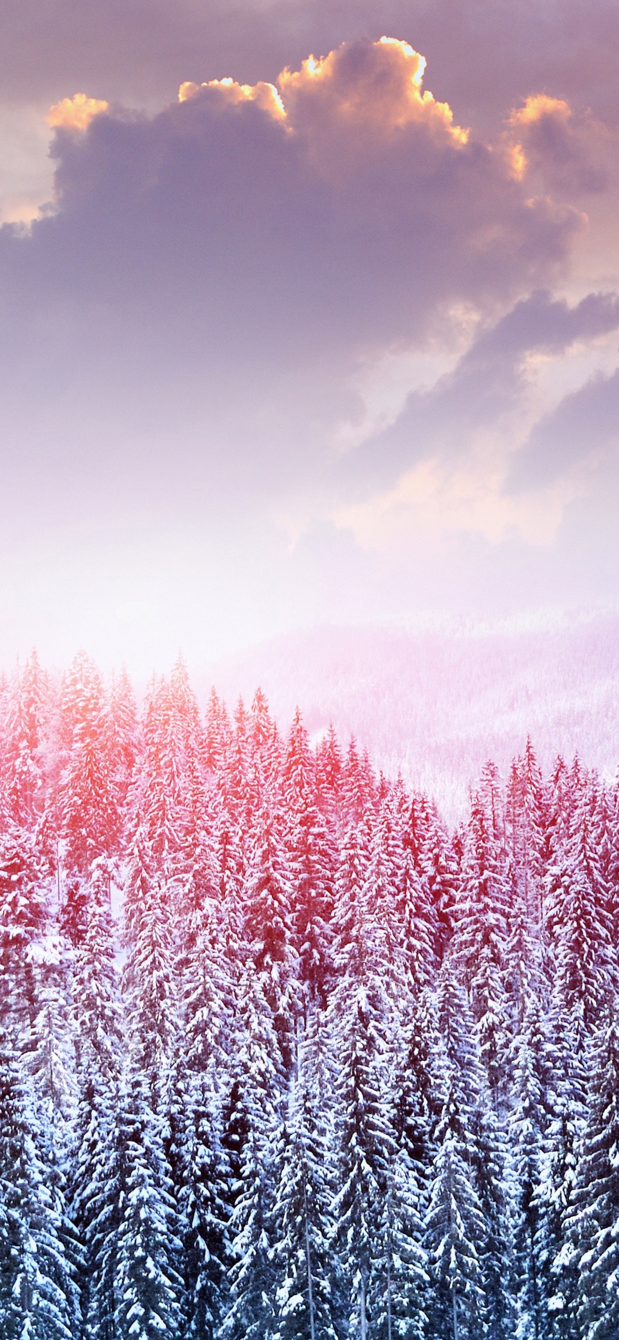 Lavender, Pink, Cloud, Purple, Natural Landscape. Wallpaper in 1242x2688 Resolution