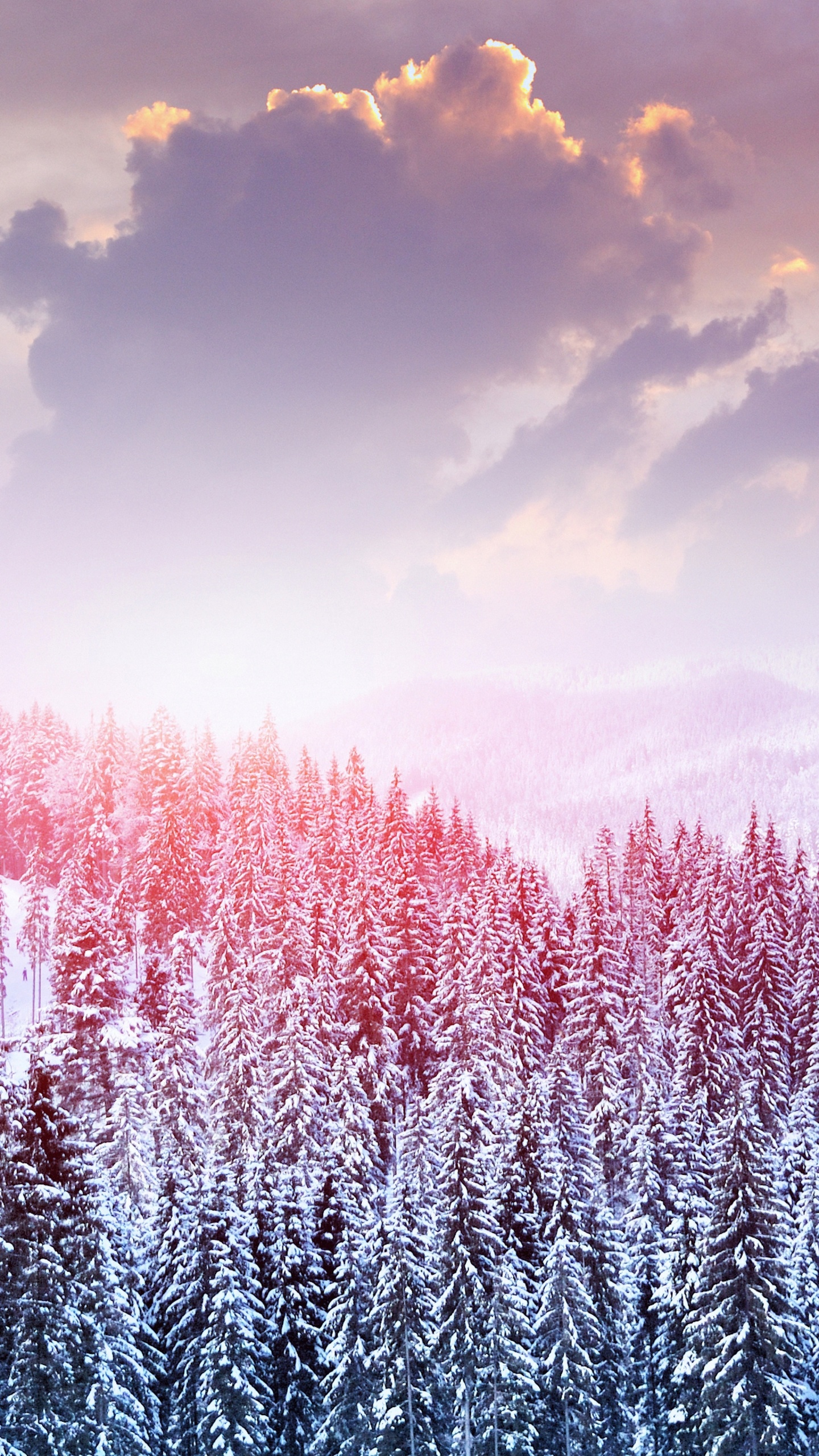 Lavender, Pink, Cloud, Purple, Natural Landscape. Wallpaper in 1440x2560 Resolution