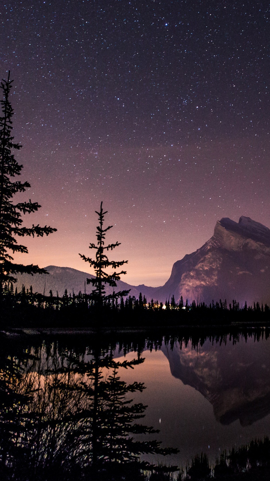 Lac et Arbres Pendant la Nuit. Wallpaper in 1080x1920 Resolution