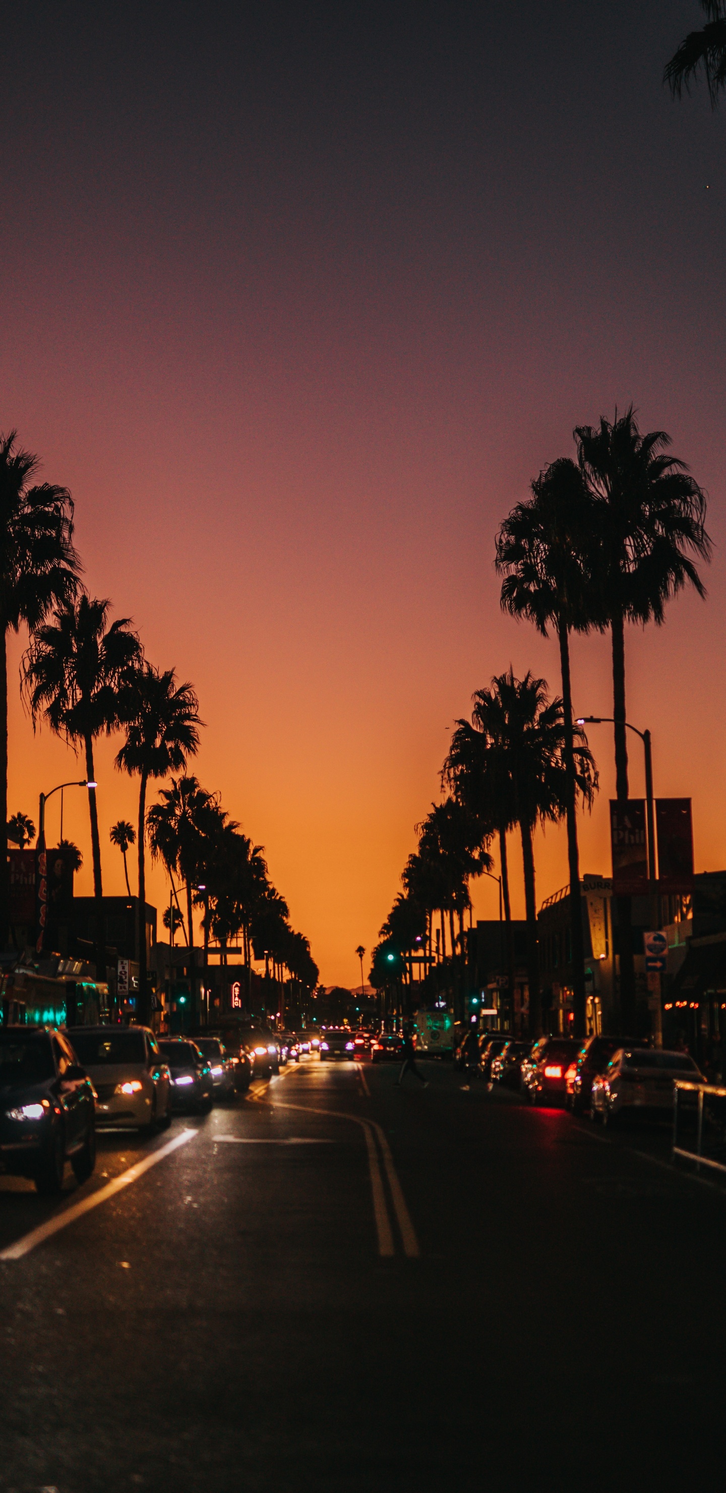 Cars on Road During Sunset. Wallpaper in 1440x2960 Resolution