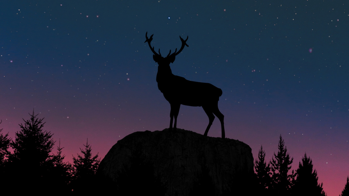 Brown Deer Standing on Rock During Night Time. Wallpaper in 1366x768 Resolution
