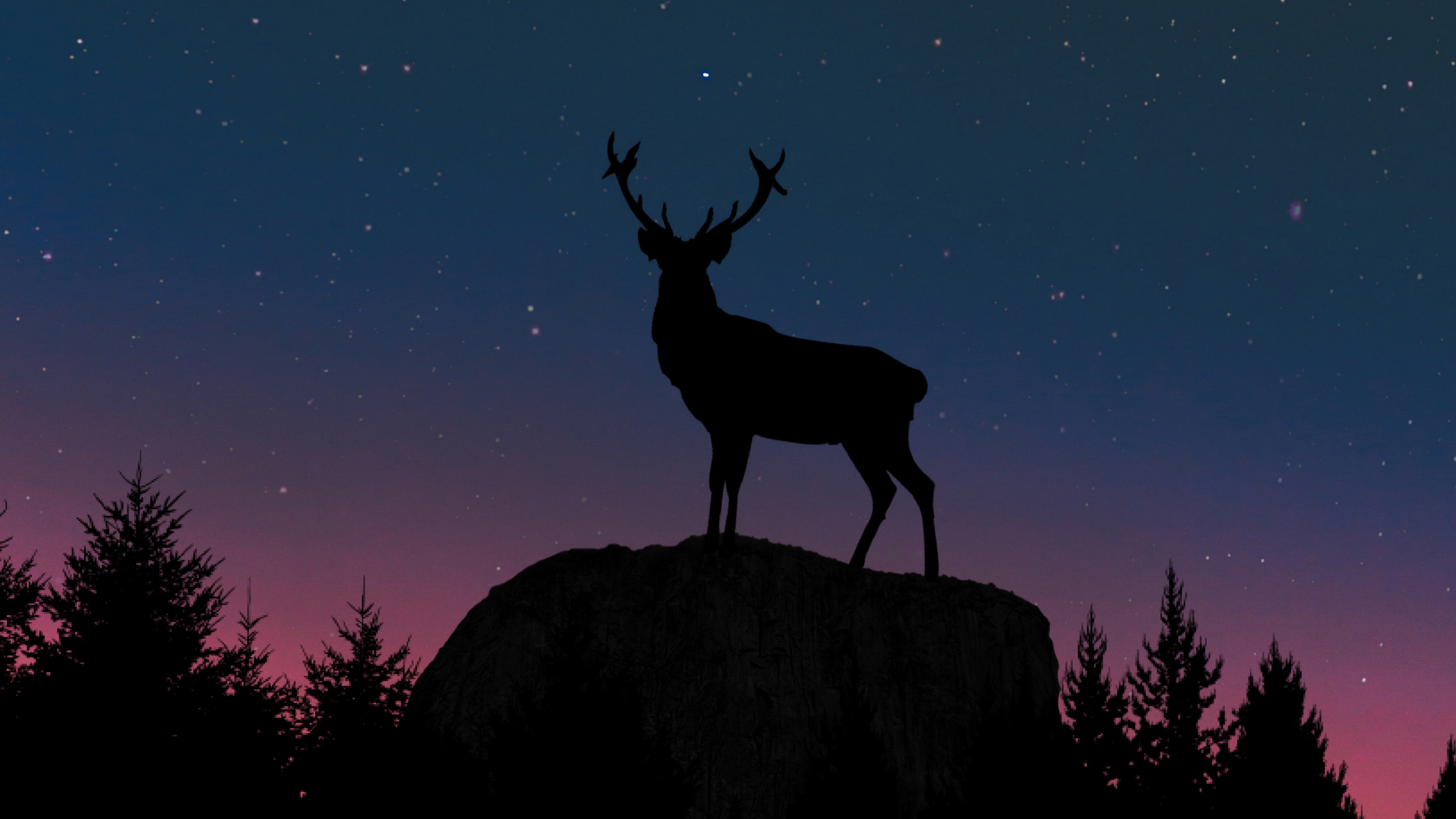Brown Deer Standing on Rock During Night Time. Wallpaper in 2560x1440 Resolution