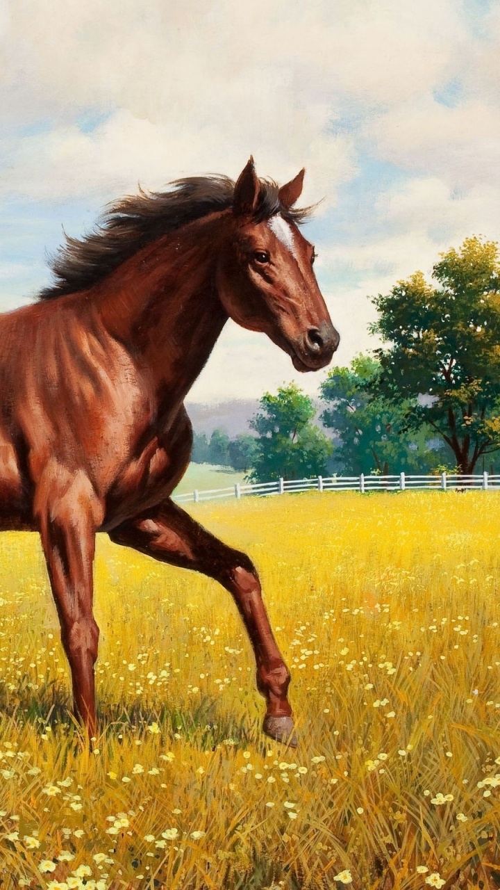 Braunes Pferd Auf Grünem Grasfeld Tagsüber. Wallpaper in 720x1280 Resolution