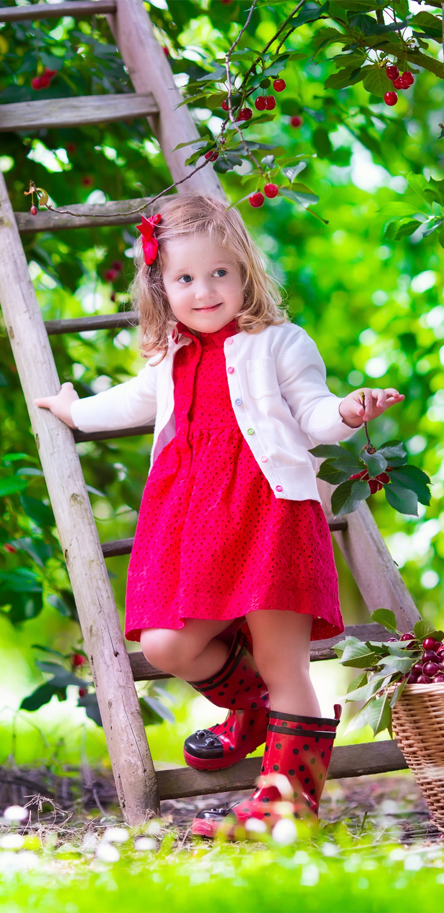 Child, Tree, Grasses, Factory, Clothing. Wallpaper in 1440x2960 Resolution