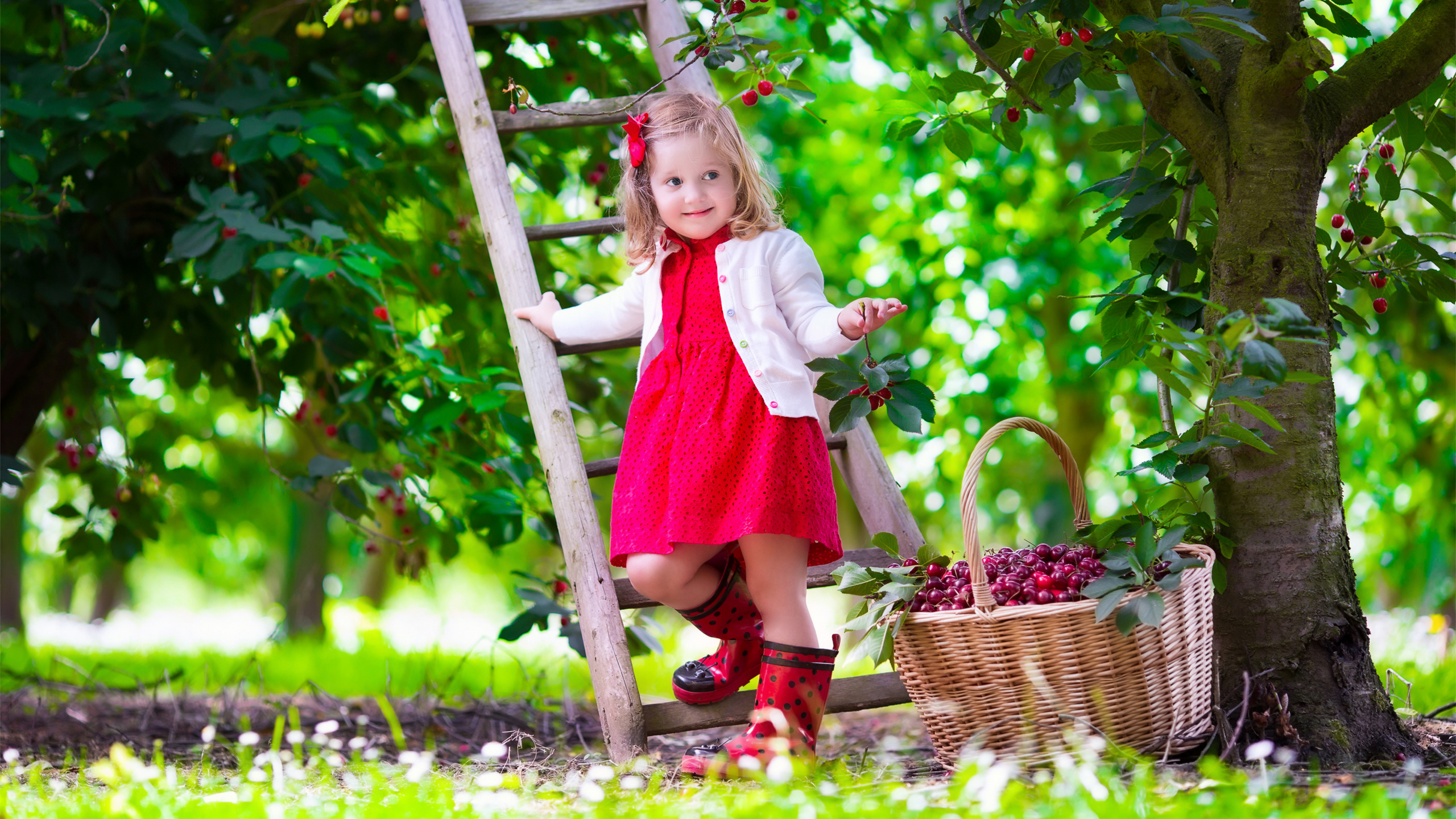 Child, Tree, Grasses, Factory, Clothing. Wallpaper in 2560x1440 Resolution