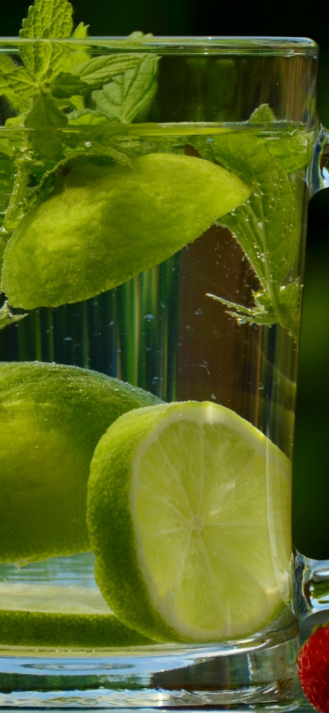 Mojito, 石灰, 静物摄影, 果汁, 健康 壁纸 1125x2436 允许