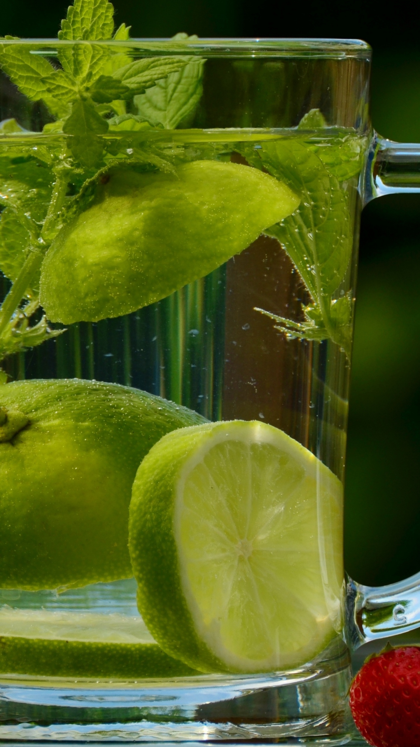 Mojito, 石灰, 静物摄影, 果汁, 健康 壁纸 1440x2560 允许