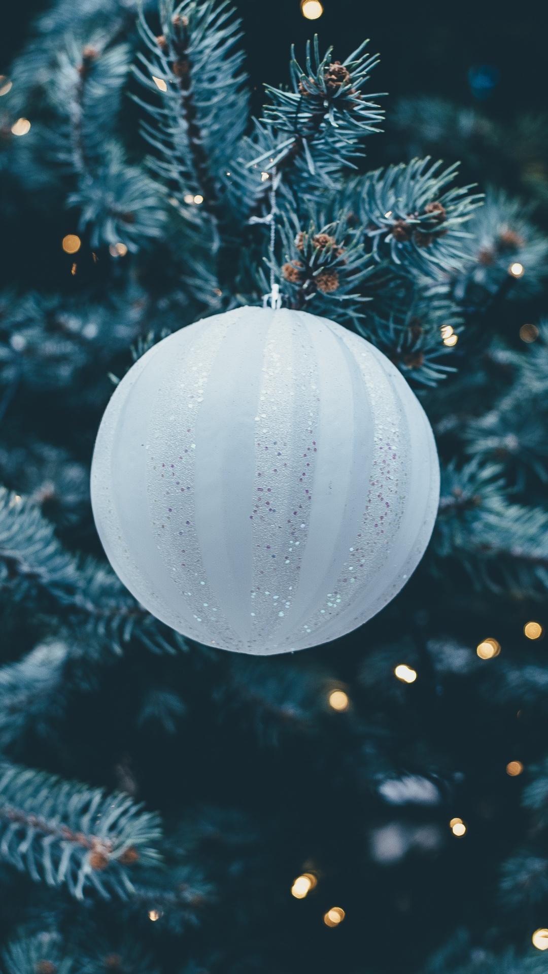 Christmas Day, Christmas Decoration, Christmas Ornament, Christmas Tree, Blue. Wallpaper in 1080x1920 Resolution