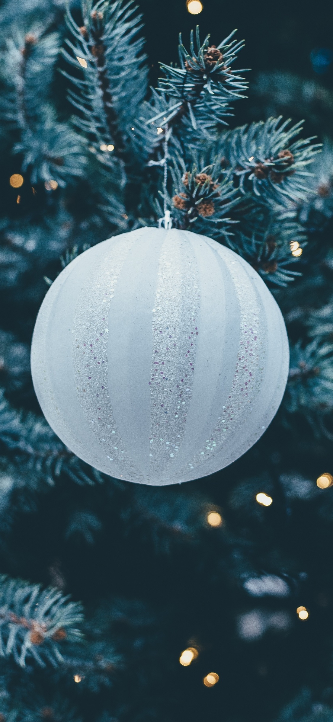 Christmas Day, Christmas Decoration, Christmas Ornament, Christmas Tree, Blue. Wallpaper in 1125x2436 Resolution