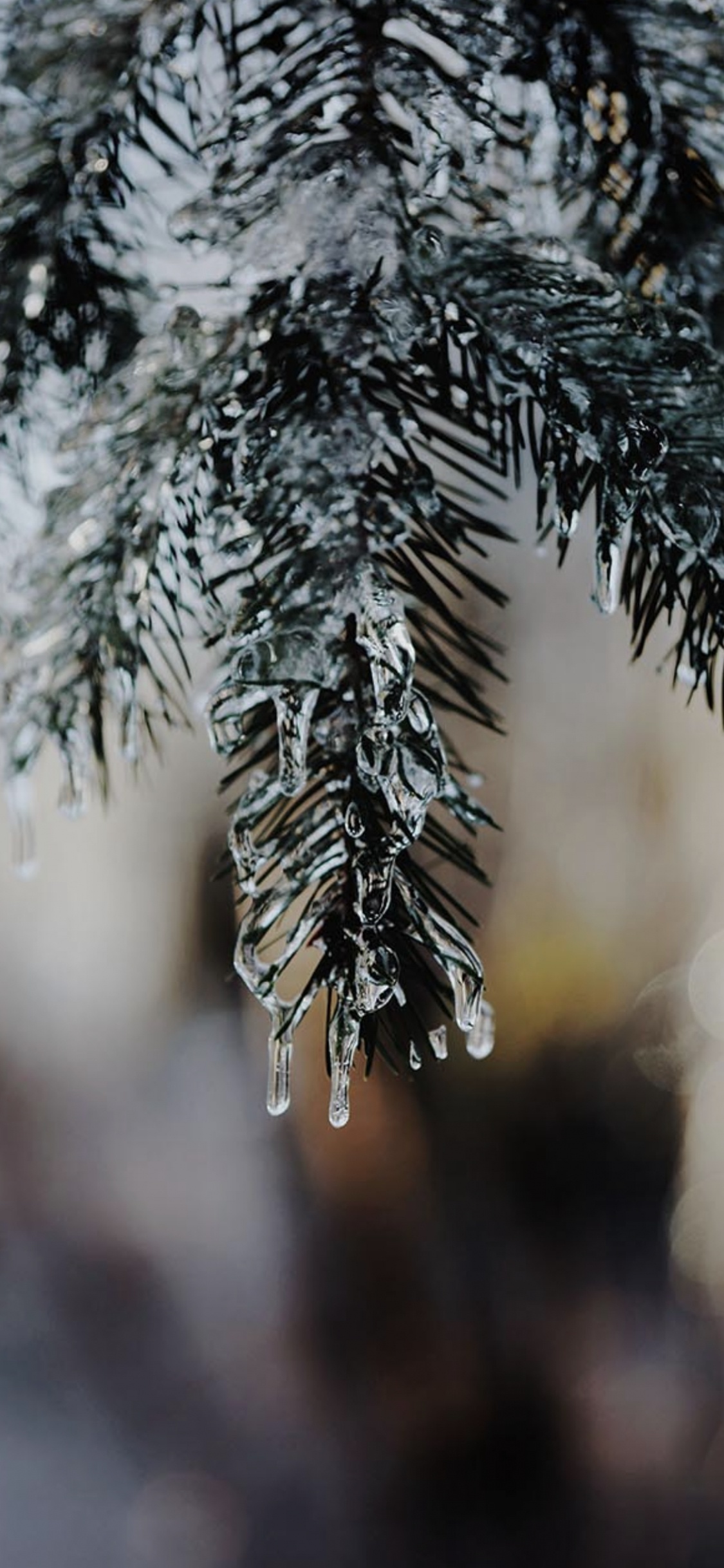 Goutte de Noël, Le Jour De Noël, Des Paysages D'hiver, Arbre de Noël, Liquid. Wallpaper in 1125x2436 Resolution