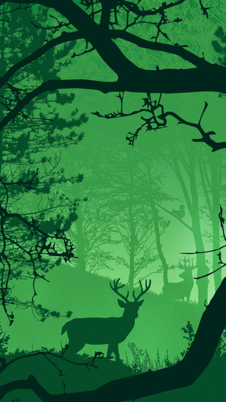 Gr, Baum, Natur, Branch, Naturlandschaft. Wallpaper in 750x1334 Resolution