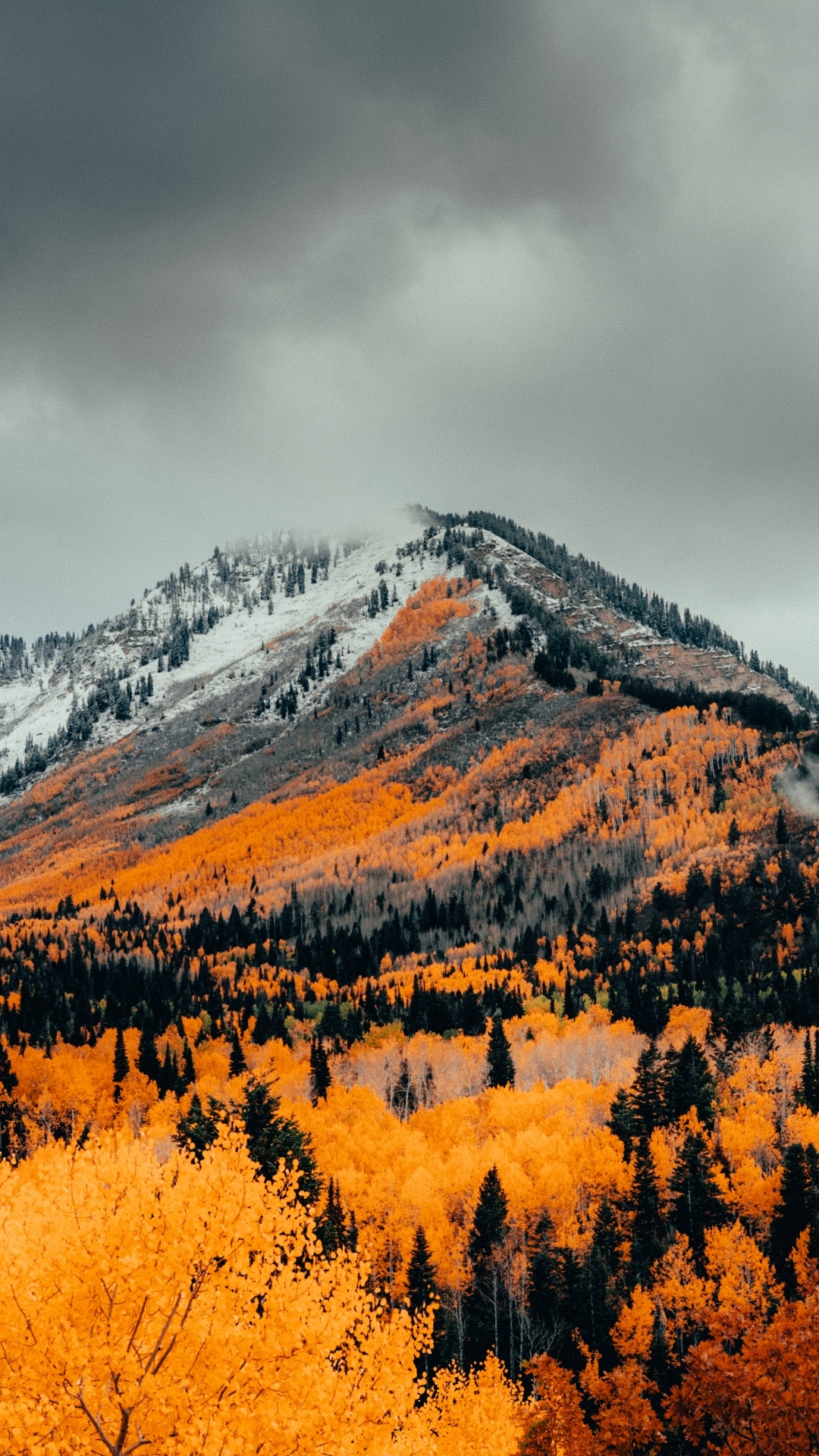 Autumn, Nature, Cloud, Mountain, Plant. Wallpaper in 1080x1920 Resolution