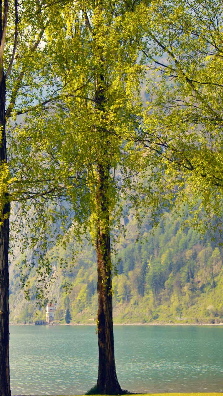 Natur, Wasser, Ökoregion, Menschen in Der Natur, Naturlandschaft. Wallpaper in 720x1280 Resolution