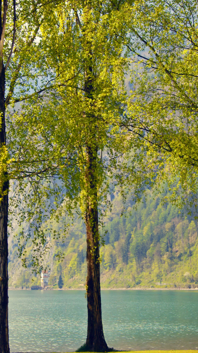 Nature, Landscape, Water, Plant, Ecoregion. Wallpaper in 750x1334 Resolution