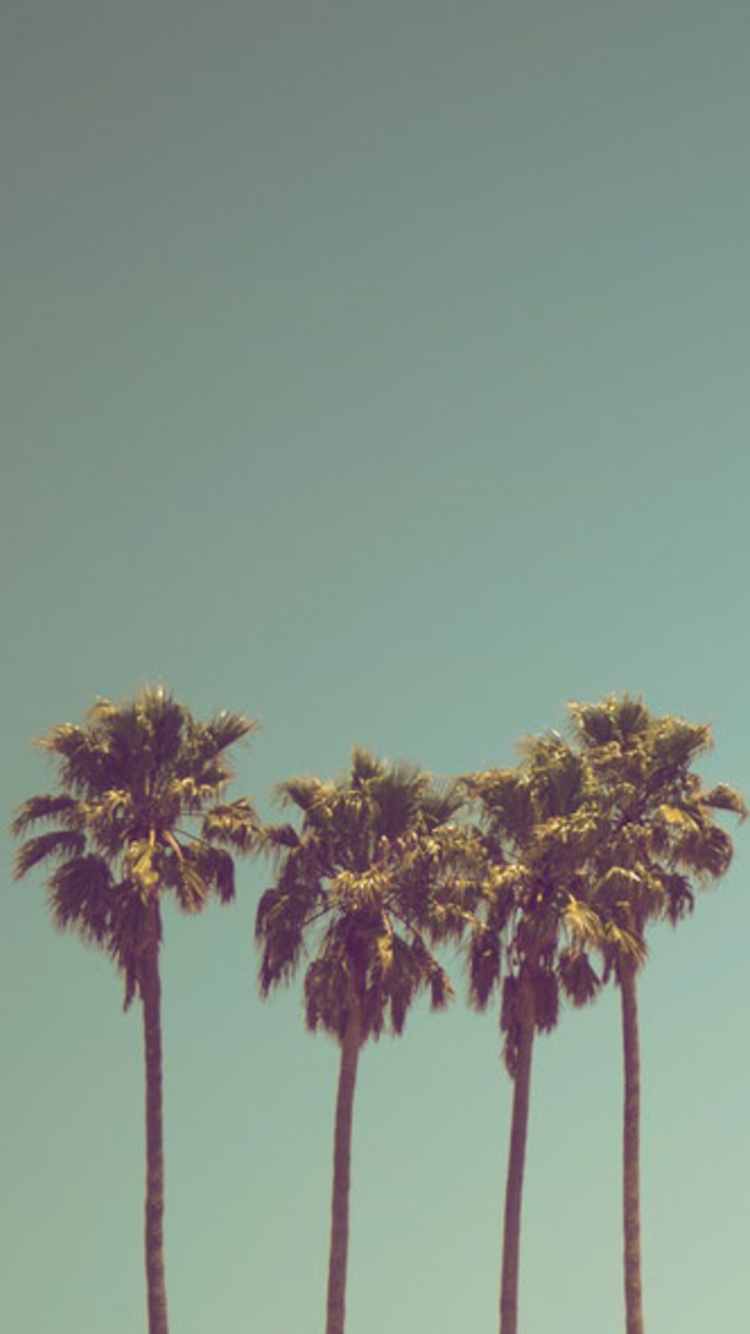 Grüner Und Brauner Baum Unter Blauem Himmel. Wallpaper in 750x1334 Resolution