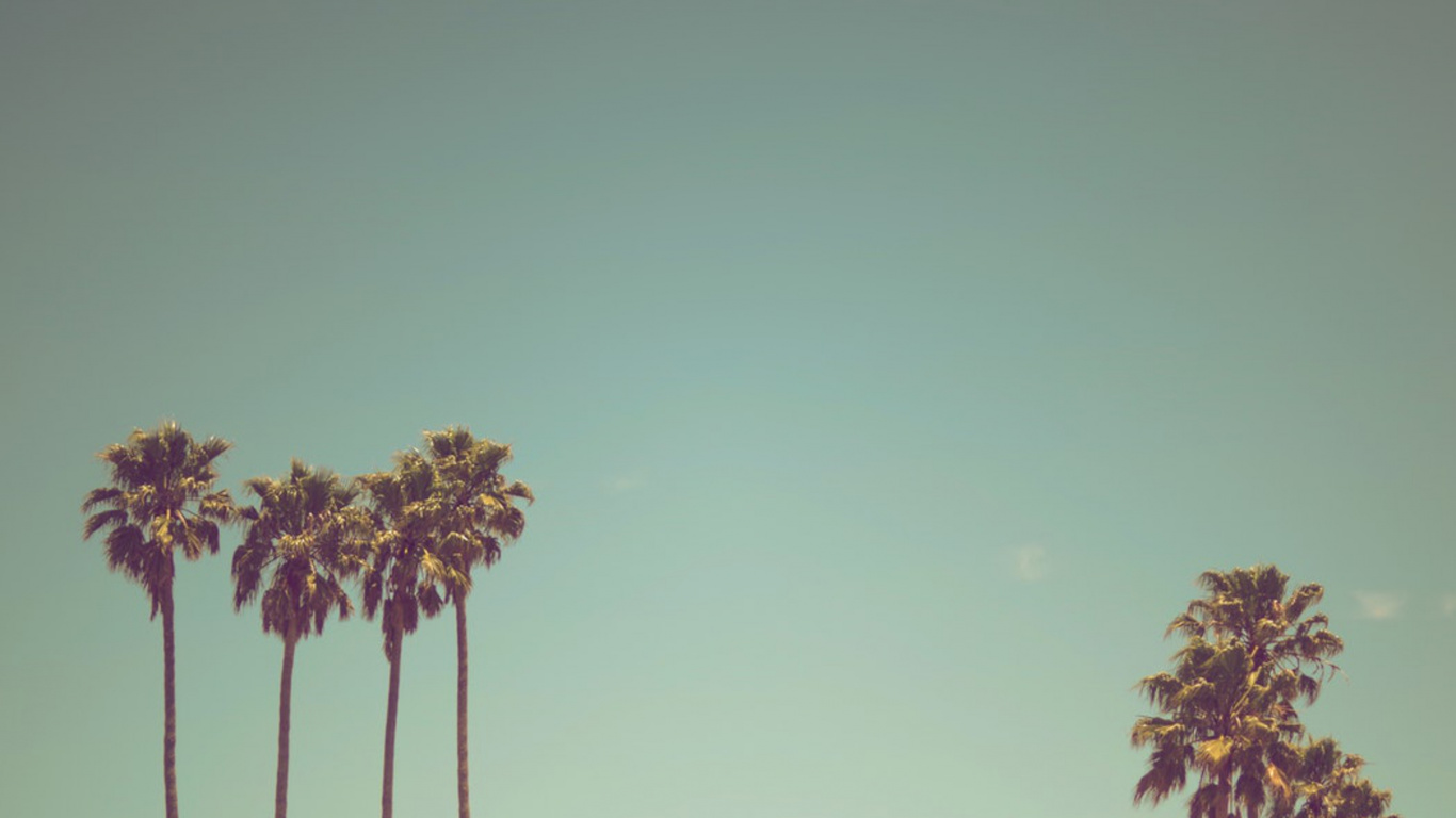 Green and Brown Tree Under Blue Sky. Wallpaper in 1366x768 Resolution