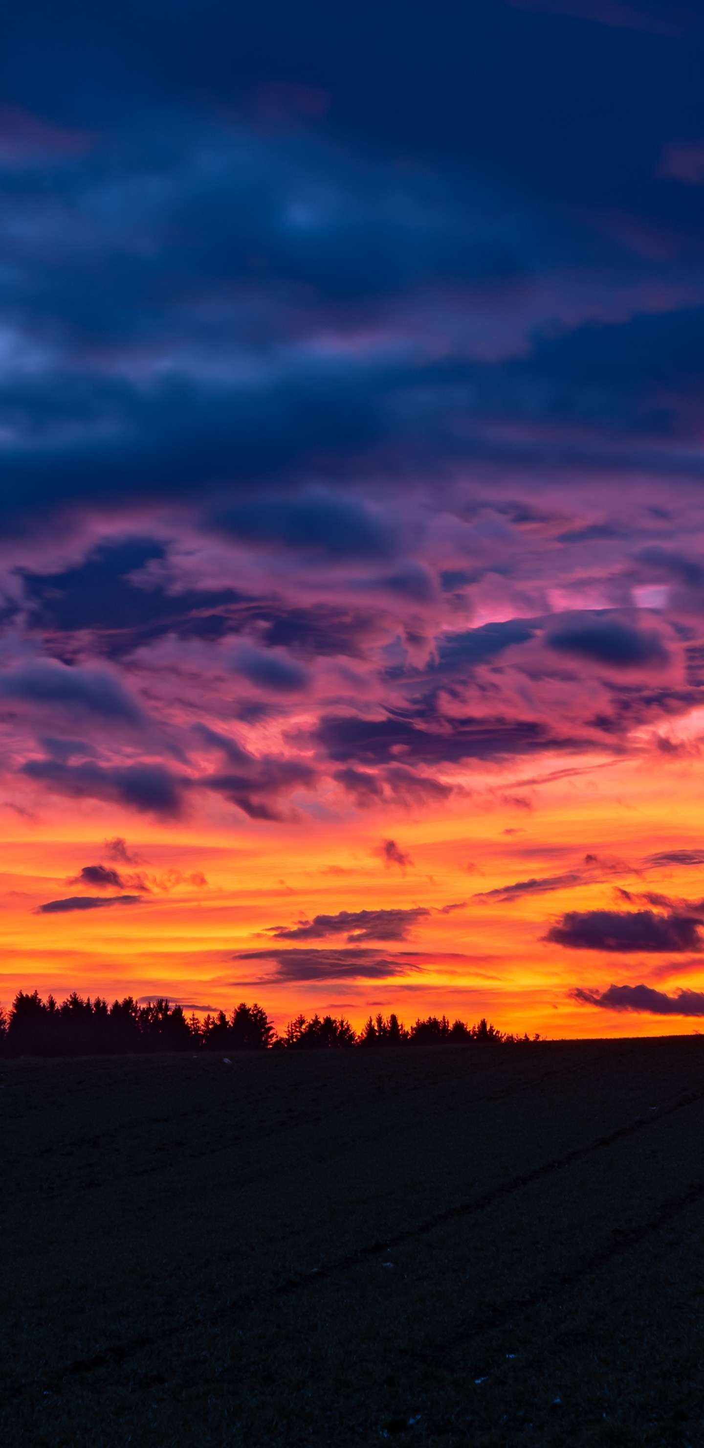 Afterglow, Horizon, Lever, Paysage Naturel, Soir. Wallpaper in 1440x2960 Resolution