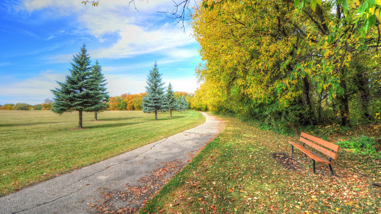 Green Trees on Green Grass Field Under Blue Sky During Daytime. Wallpaper in 1280x720 Resolution