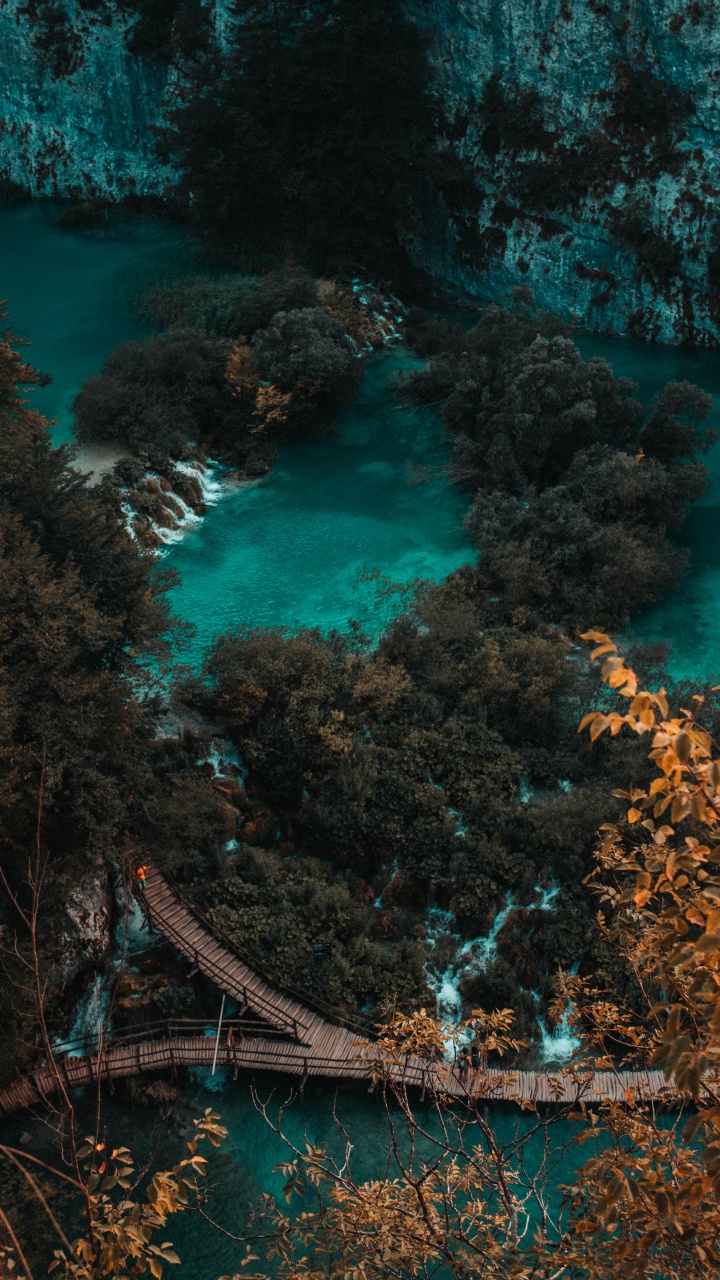 性质, 绿色的, 植被, 水上, 大海 壁纸 720x1280 允许