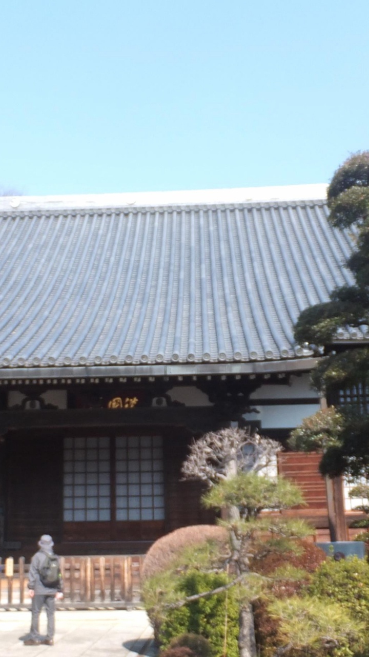 People Walking on Pathway Near Green Trees and Brown Wooden House During Daytime. Wallpaper in 720x1280 Resolution