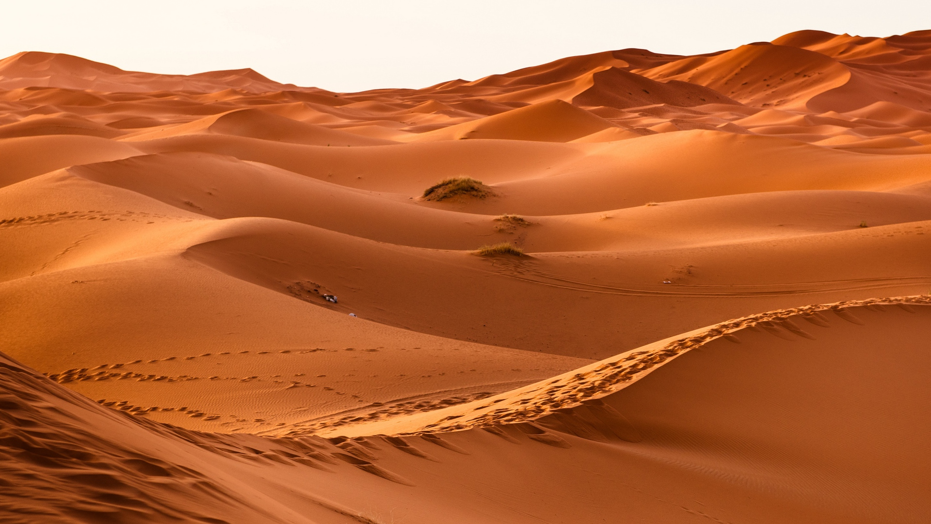 White Sand With White Sand. Wallpaper in 1920x1080 Resolution