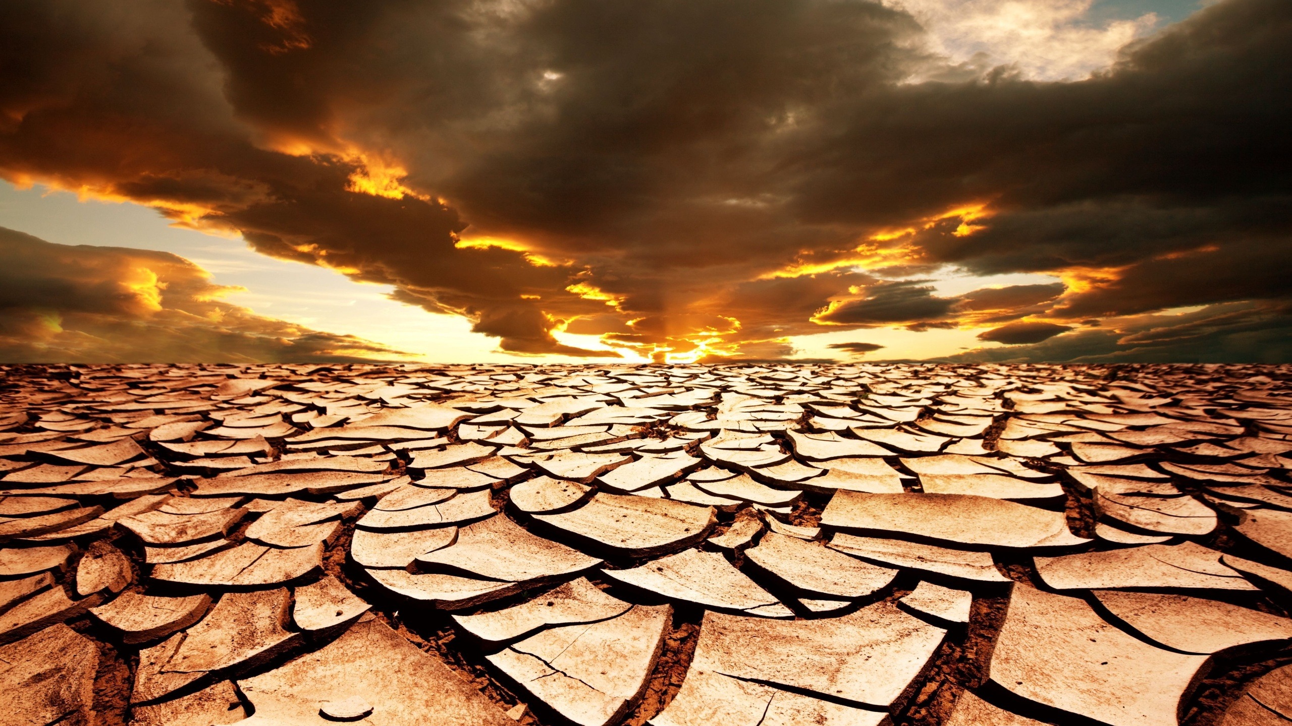 Black Metal Fence on Brown Sand During Sunset. Wallpaper in 2560x1440 Resolution