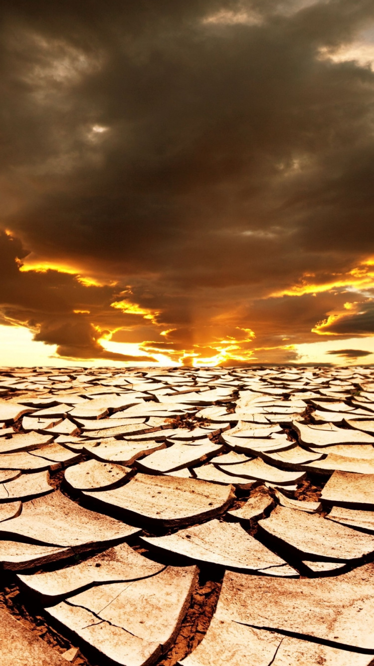 Black Metal Fence on Brown Sand During Sunset. Wallpaper in 750x1334 Resolution