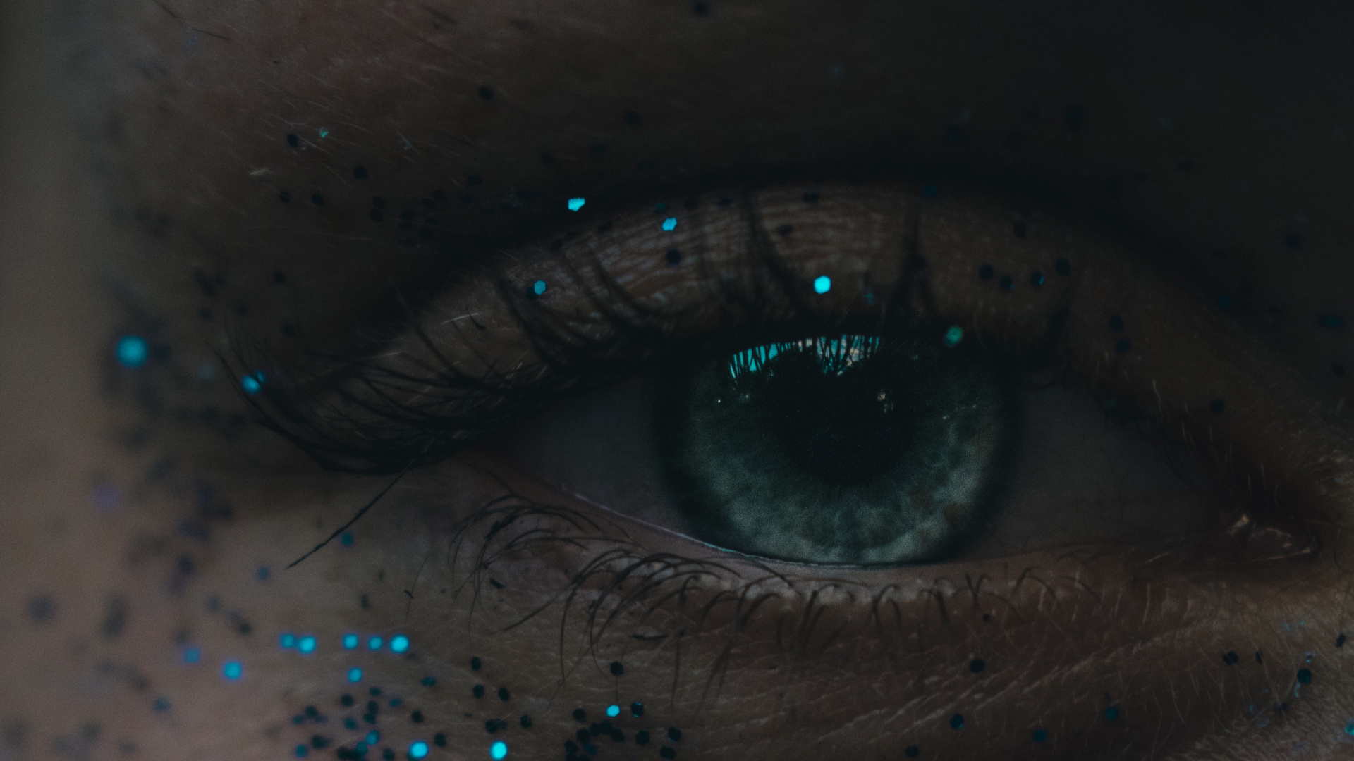 Personen Auge Mit Blauen Augen. Wallpaper in 1920x1080 Resolution