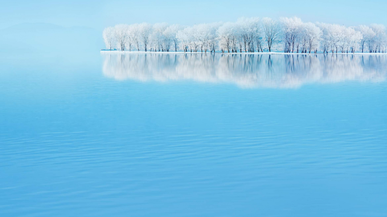 Huawei, Huawei P30, Huawei P20 Pro, Huawei P30 Pro, Huawei P40. Wallpaper in 1280x720 Resolution