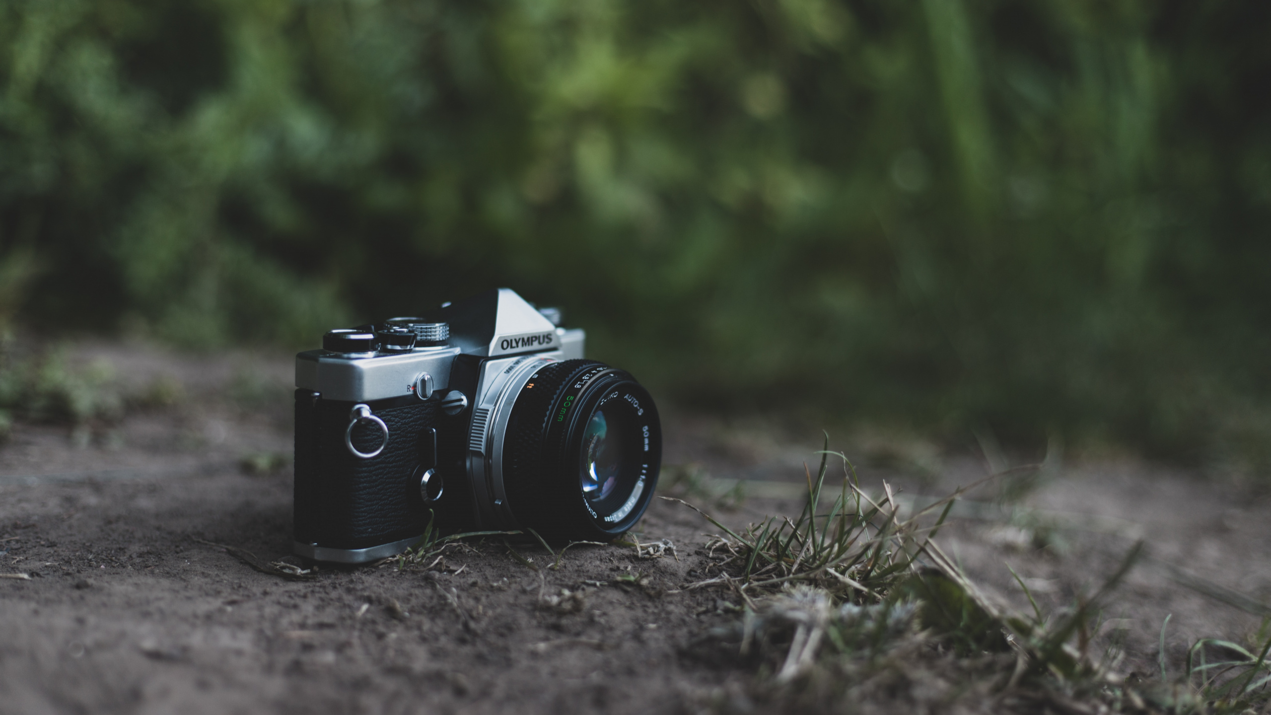 Schwarze Und Silberne DSLR-Kamera Auf Grünem Gras. Wallpaper in 2560x1440 Resolution