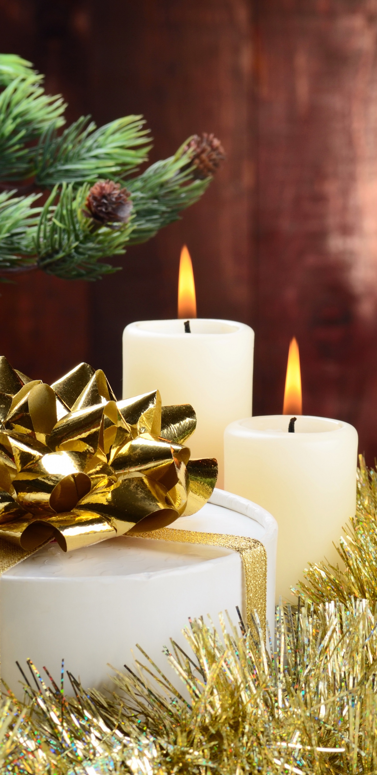 Christmas Day, New Year, Tree, Christmas Decoration, Fir. Wallpaper in 1440x2960 Resolution