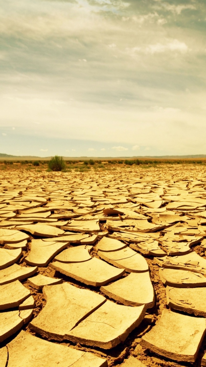 Sable Brun Sous Ciel Blanc Pendant la Journée. Wallpaper in 720x1280 Resolution