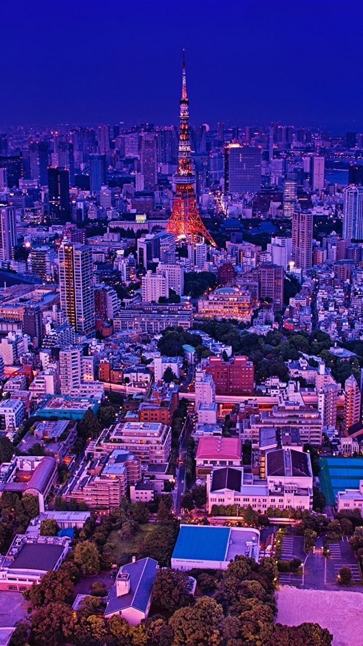 Aerial View of City Buildings During Night Time. Wallpaper in 720x1280 Resolution