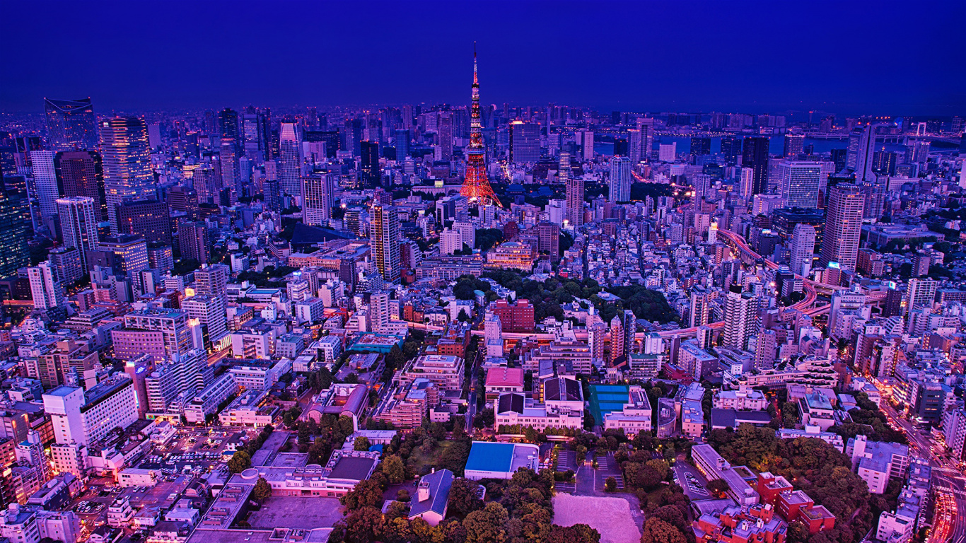 东京, 东京塔, 城市, 城市景观, 大都会 壁纸 1366x768 允许