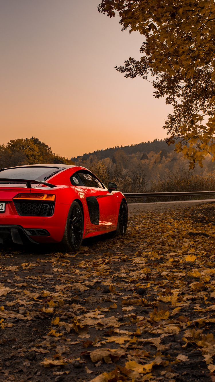 Red and Black Porsche 911 on Dirt Road During Daytime. Wallpaper in 750x1334 Resolution