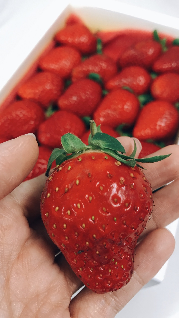 Person, Die Rote Erdbeeren im Weißen Behälter Hält Holding. Wallpaper in 720x1280 Resolution