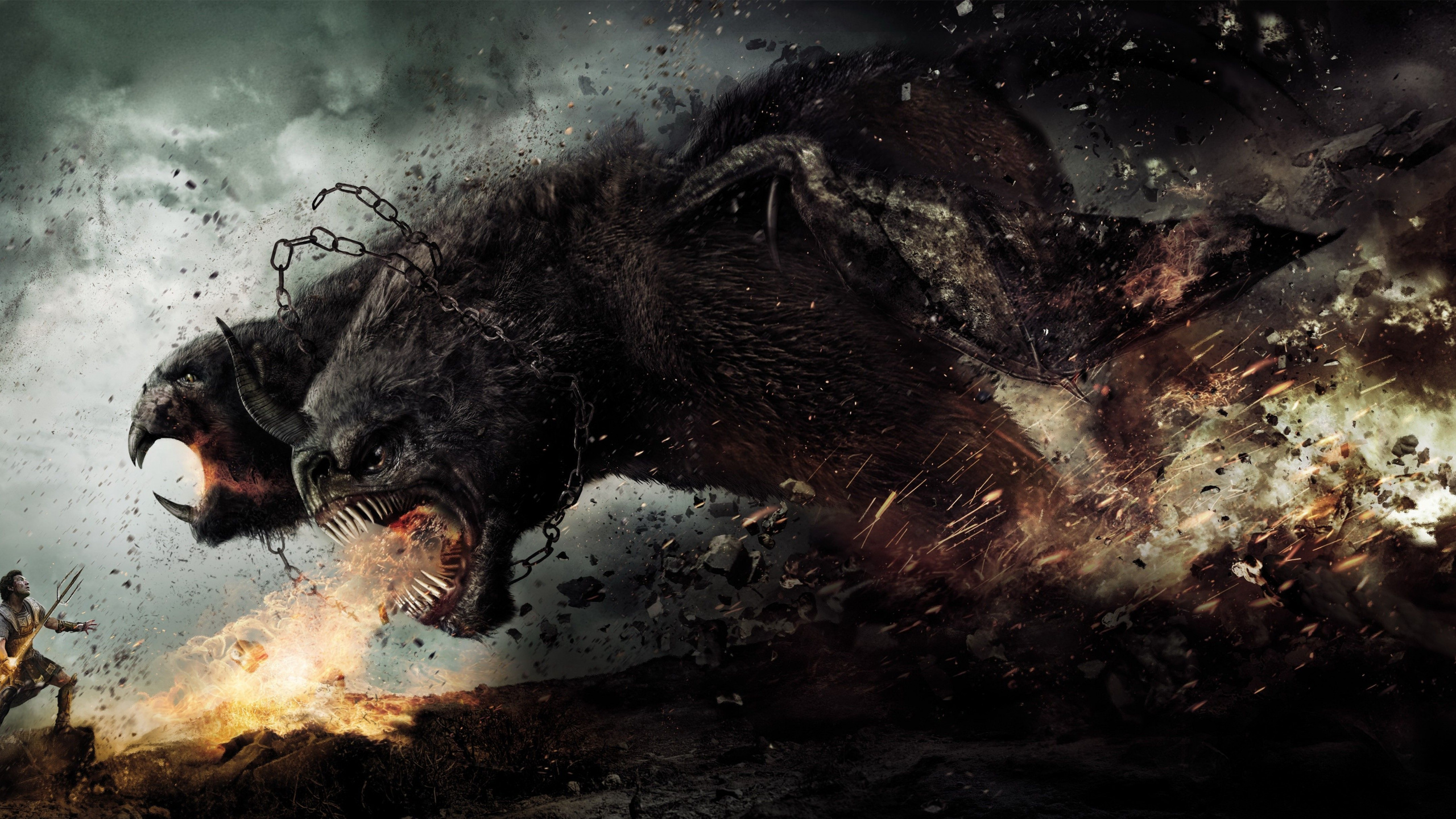 Oso Blanco y Negro Con Humo Blanco. Wallpaper in 2560x1440 Resolution