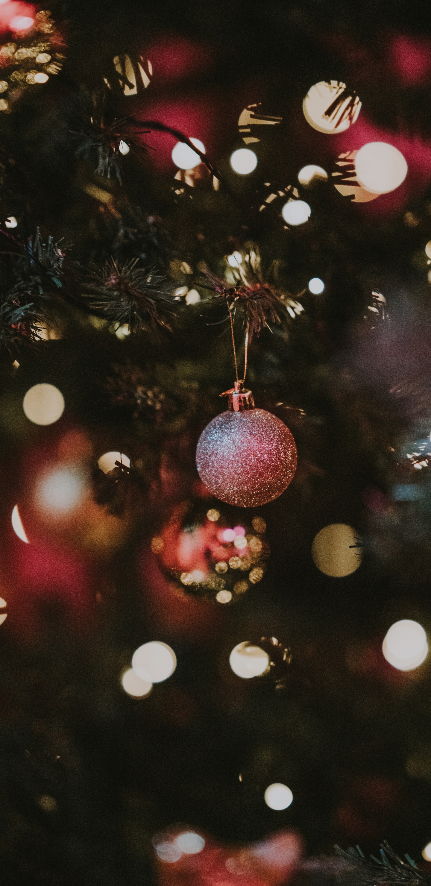 El Día De Navidad, Decoración de la Navidad, Adorno de Navidad, Navidad, Sucursal. Wallpaper in 1440x2960 Resolution