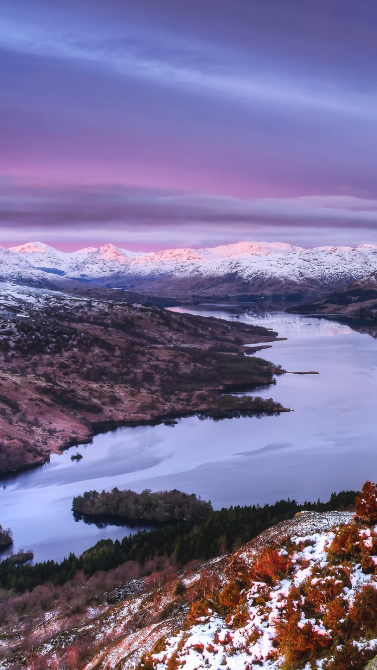 Arbres Verts et Bruns Sur Sol Couvert de Neige Sous Ciel Nuageux Pendant la Journée. Wallpaper in 750x1334 Resolution