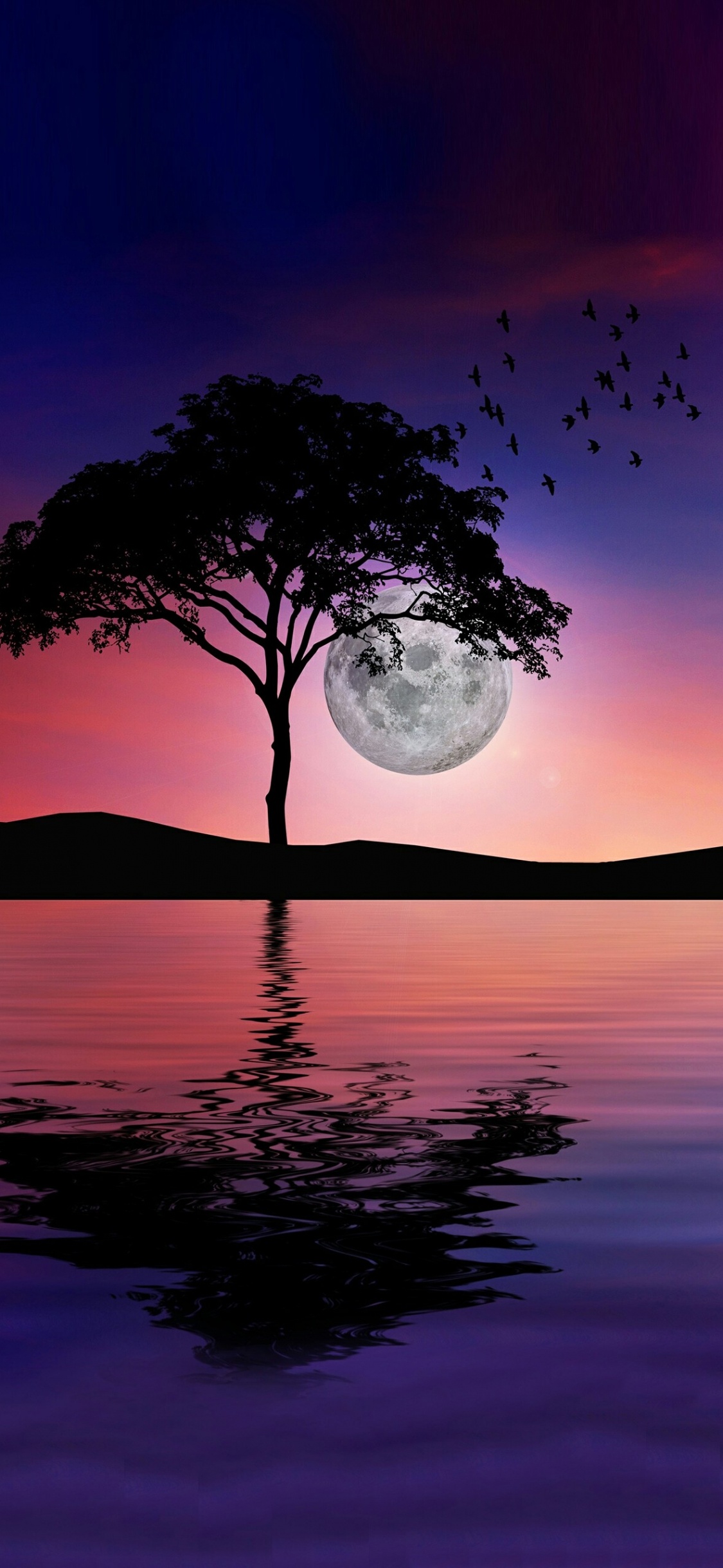 Agua, Ambiente, Los Recursos de Agua, Afterglow, Paisaje Natural. Wallpaper in 1125x2436 Resolution