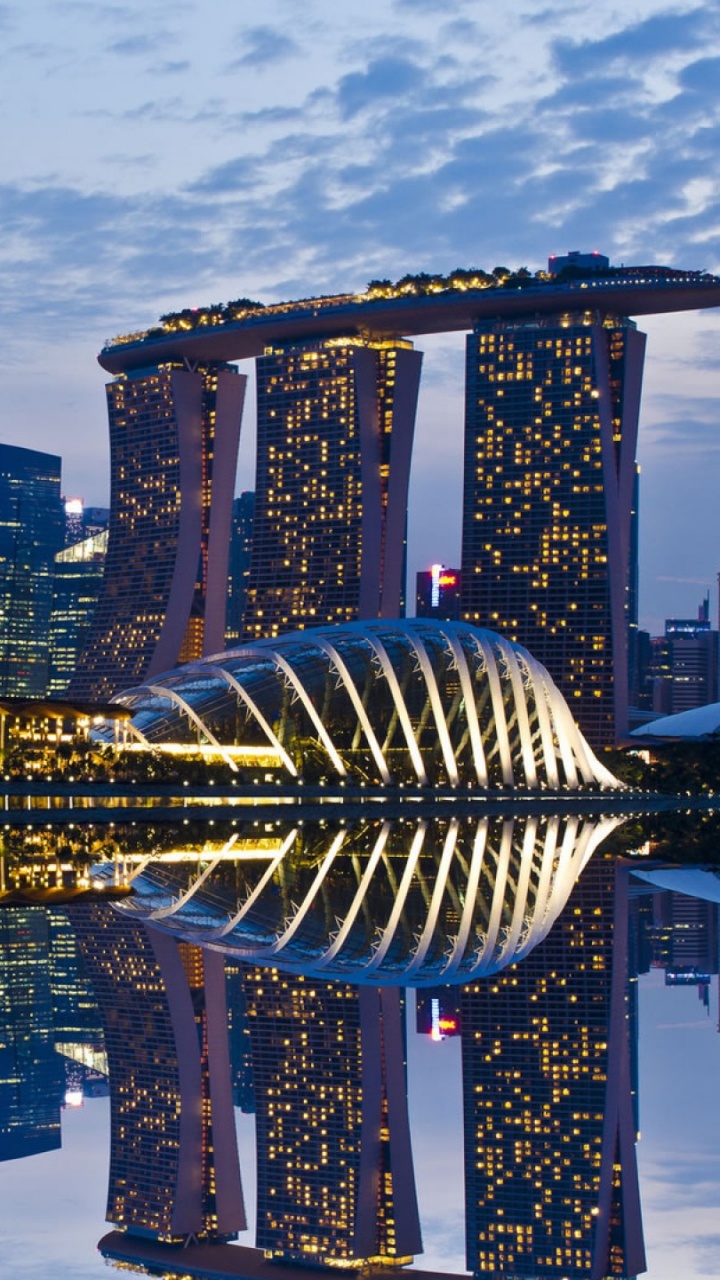 City Skyline Under Blue Sky During Daytime. Wallpaper in 720x1280 Resolution