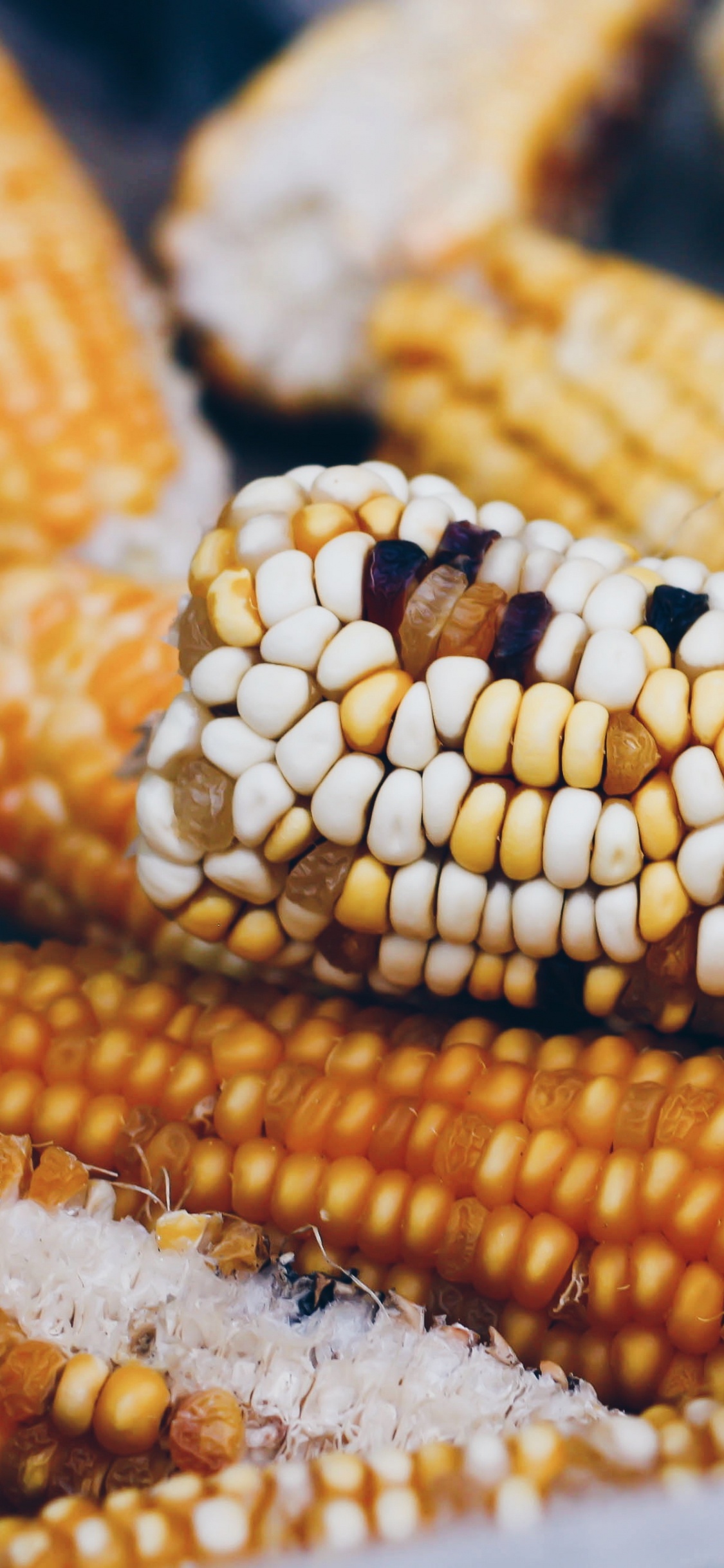 Yellow Corn on Black Surface. Wallpaper in 1125x2436 Resolution