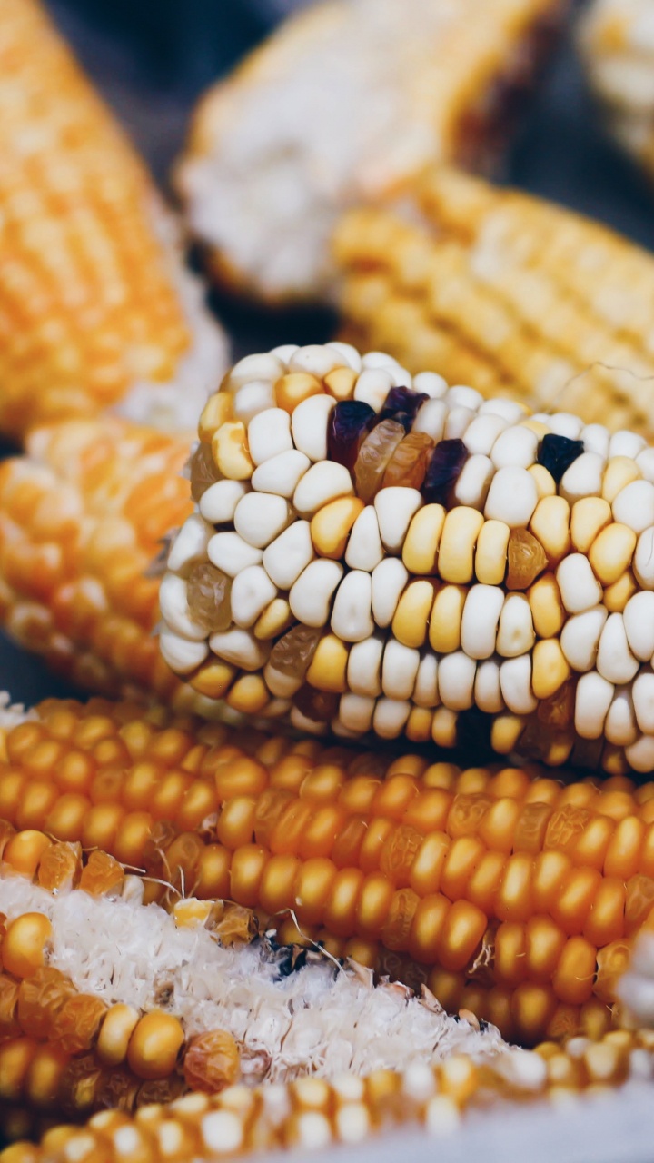 Yellow Corn on Black Surface. Wallpaper in 720x1280 Resolution