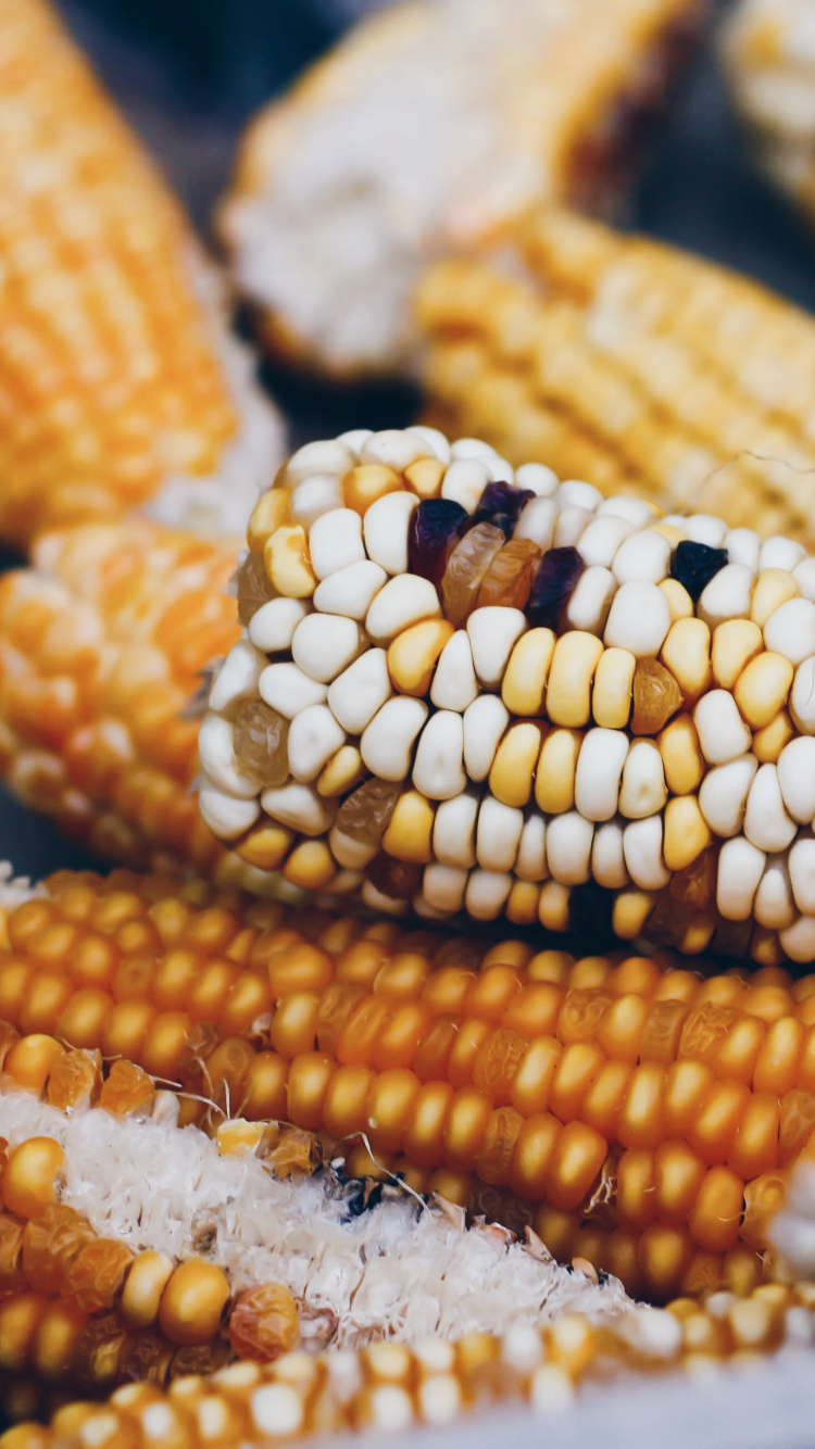 Yellow Corn on Black Surface. Wallpaper in 750x1334 Resolution