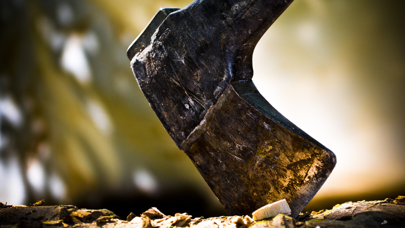 Manche en Bois Marron Sur Manche en Bois Marron. Wallpaper in 1366x768 Resolution